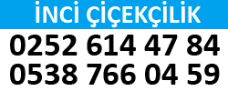 https://www.instagram.com/fethiye_inci_cicek_ademmutaf/